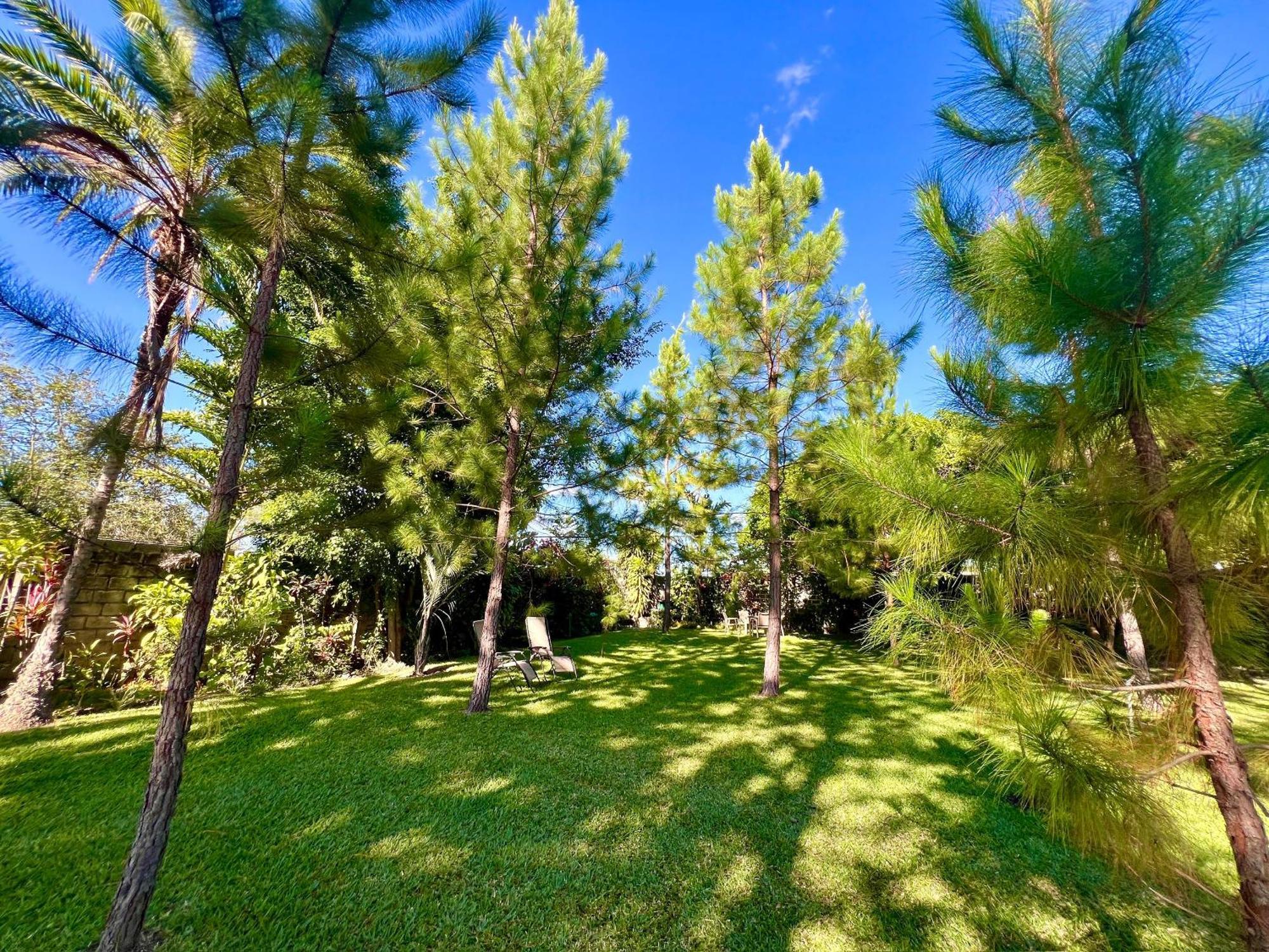 Summerfields & Gardens Lodge Kitwe Экстерьер фото